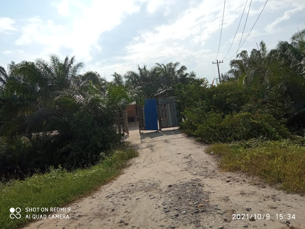 Poldasu Diminta Bertindak Tegas Terkait Dugaan Perambahan Hutan di Langkat Oleh Mafia Tanah Berinisal AS