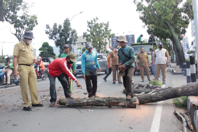Dinas PU, DKP bersama Kecamatan Medan Barat Kolaborasi Bersihkan Kawasan Jalan Adam Malik