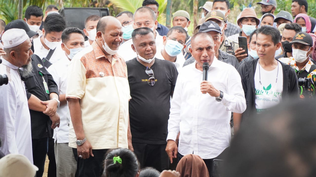 Plt Bupati Langkat bersama Gubsu Launching Sentra Jagung Terpadu di Desa PIR ADB & Bukit Mas