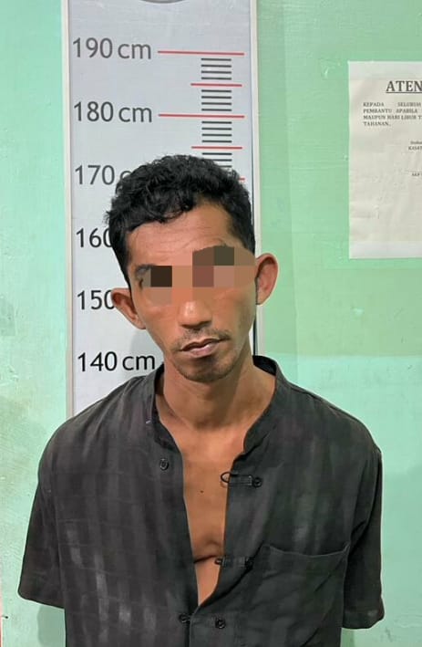 Residivis kasus narkoba Kembali Kambuh Jual Narkoba di Kec Gebang di Tangkap Polisi Kembali.