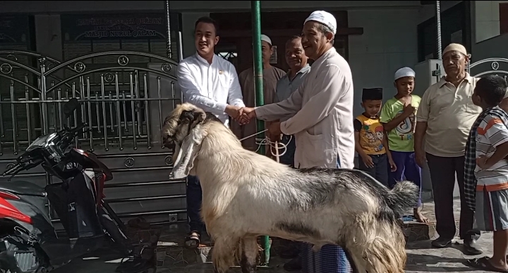 Yayasan Pendidikan Nasional Sangkara Sumbang Hewan Qurban