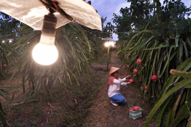 Dirut PLN Dorong Inovasi Listrik Jadi Sumber Energi Murah
