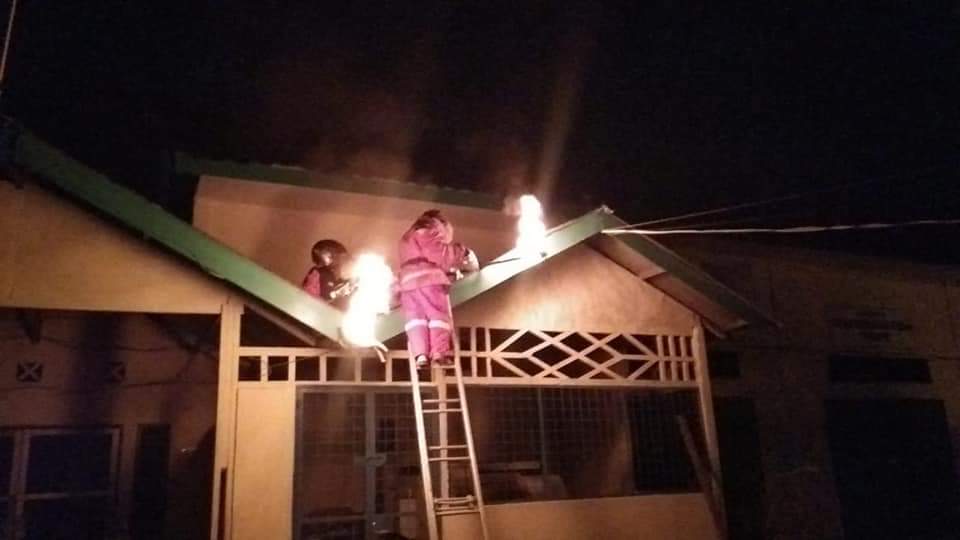 BPBD Kota Binjai Bergerak Cepat Atasi Sarang Tawon
