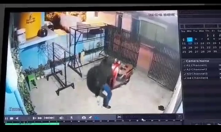 Terekam CCTV, Pria Ini Berhasil Curi Kereta Scoopy di Kos-Kosan  