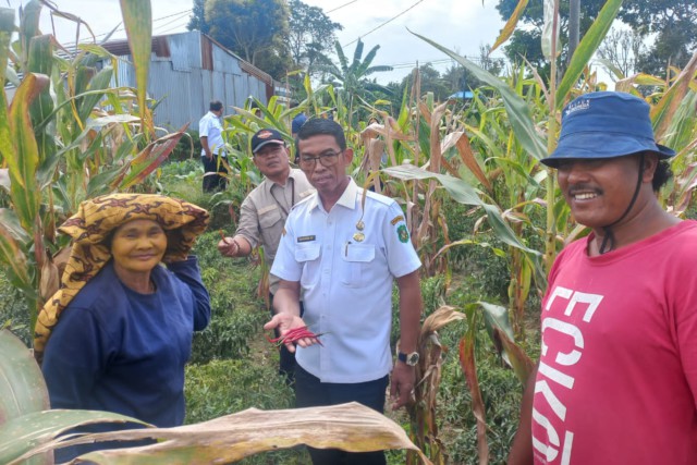 Stabilkan Harga Pangan Pokok, Wali Kota Kirim Jajaran PUD Pasar Medan ke Lima Kabupaten