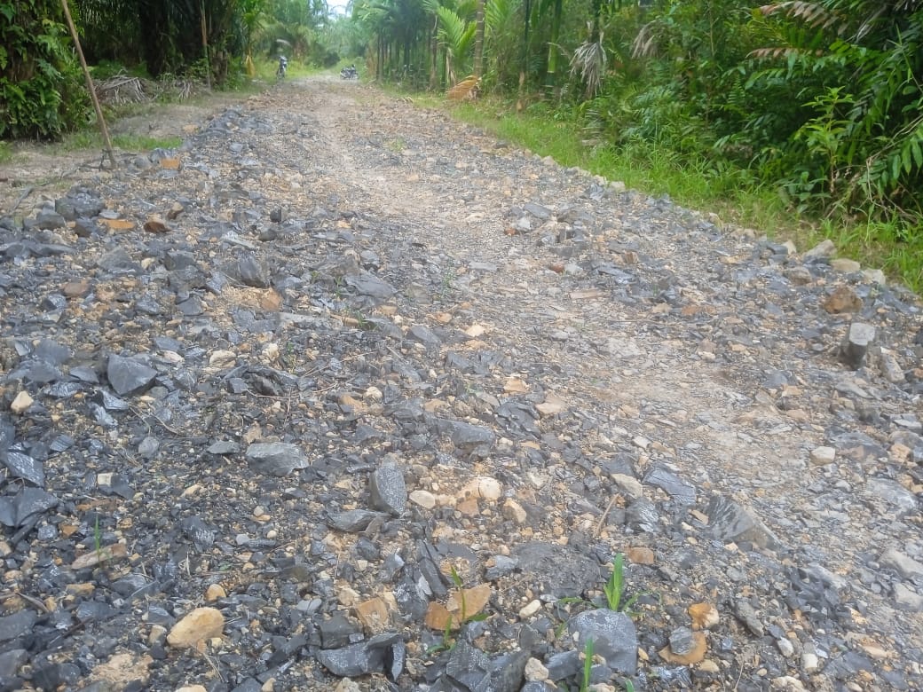 Proyek Siluman Pengerasan Jalan Di Dusun Sido Makmur Pasar 8 Desa Air Hitam Disoal Warga 