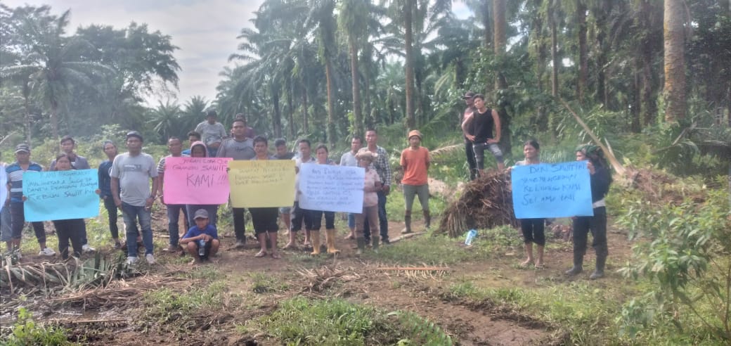 Tak Terima Sawit Tempat Kerja Mereka Dirusak, Puluhan Pekerja Lakukan Aksi Demo