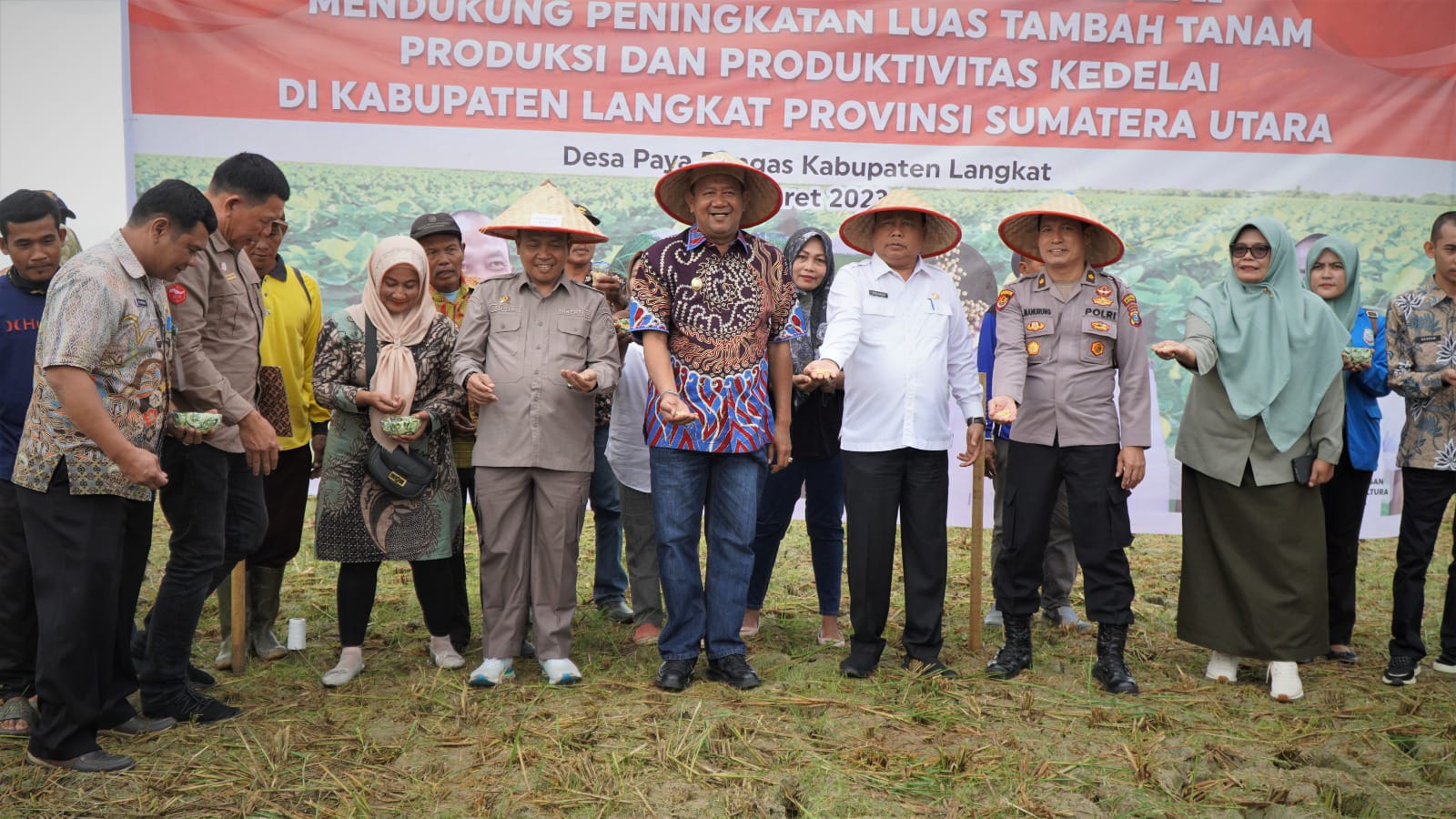Syah Afandin Jadikan Langkat Centra Tanaman Kedelai di Sumut