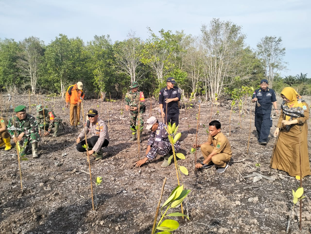 Polsek Kualuh Hilir Hadiri Penanaman Kayu Bakau Di Desa Simandulang 