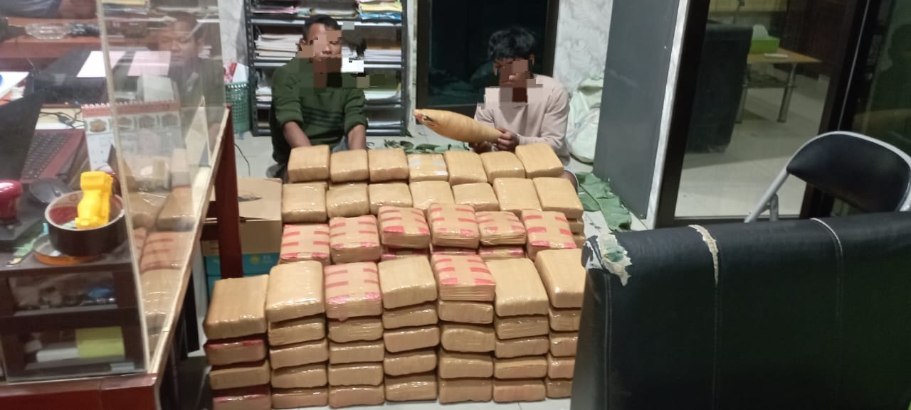 Nekat Bawa 135 Kg Ganja, Polda Sumut Amankan Seorang Mahasiswa & Dua Warga Aceh 