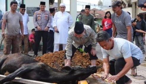 Polres Tanah Karo Sembelih 5 Hewan Qurban