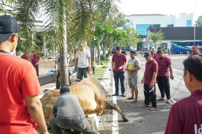 Kejati Sumut Kurban 8 Ekor Sapi dan 6 Ekor Kambing