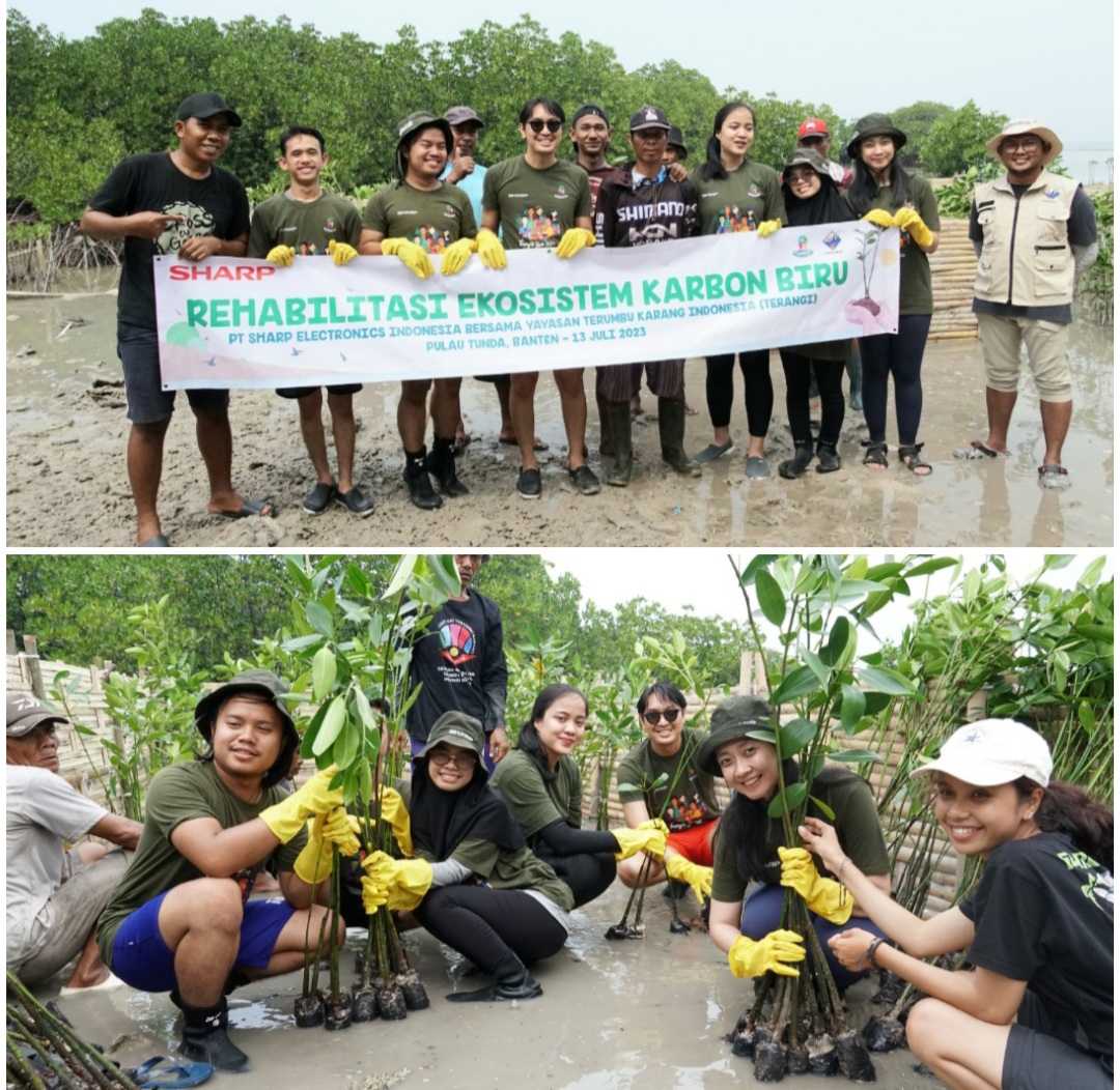 Peringati Hari Mangrove Sedunia, Sharp Indonesia Rehabilitasi Ekosistem Karbon Biru