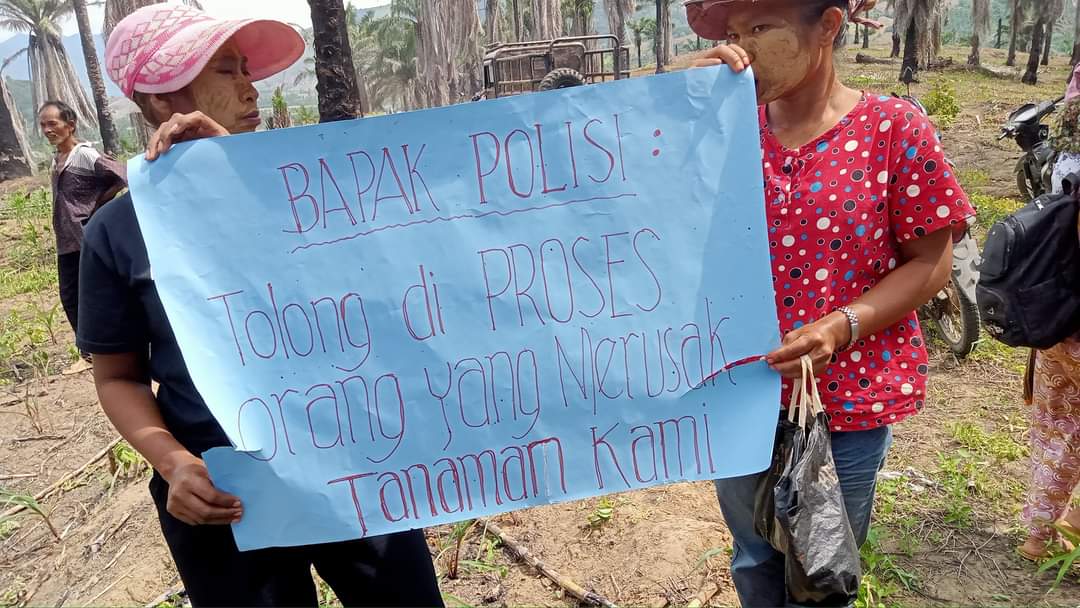 Masyarakat Desa Lau Garut Minta Polres Tanah Karo Tangkap Segera Pelaku Pengerusakan Tanaman Warga
