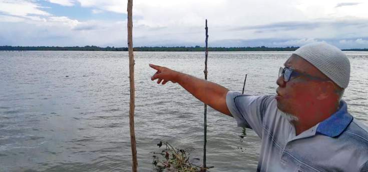 Ribuan Ha Hutan Mangrove Pantai Timur Beralih Fungsi Jadi Lahan Sawit, LIPPSU: Kehidupan Nelayan Terancam