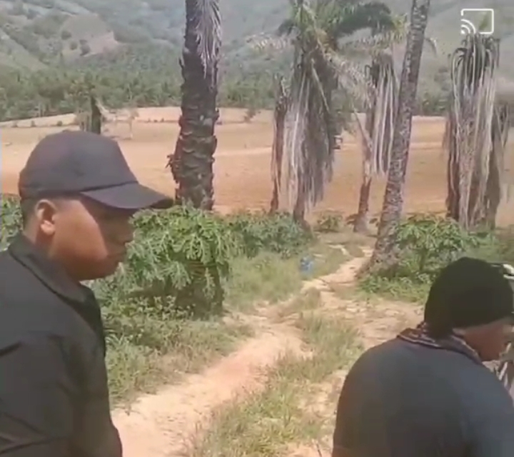 Kelompok Tani Hutan Lagasima Lestari Laporkan PT. Indah Ponjtan Ke RSPO Dan ISPO