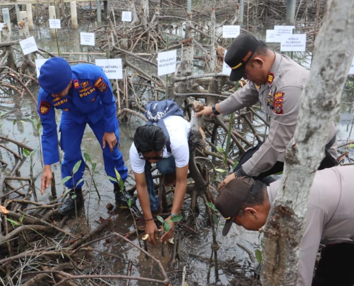 Plt Bupati Langkat Bersama Pj Gubernur Sumut Ikut Tanam 10 ribu Bibit Mangrove di Lubuk Kertang