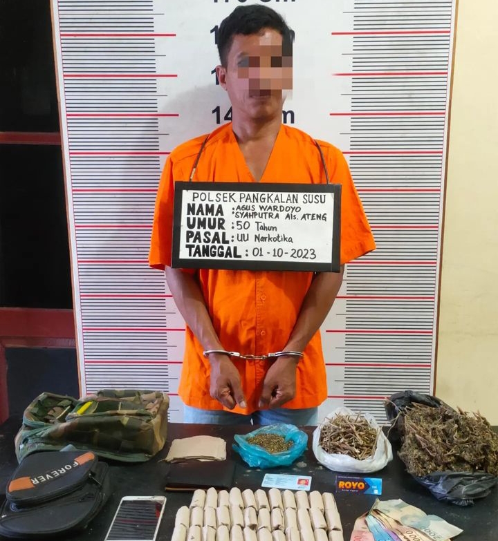 Tekab Polsek Pangkalan Susu Tangkap Bandar Ganja