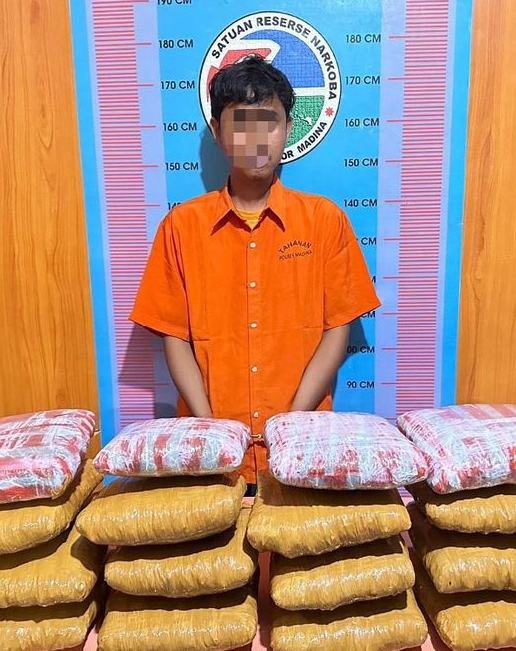 Sat Narkoba Polres Madina Gagalkan Penyelundupan 16 Kilo Ganja