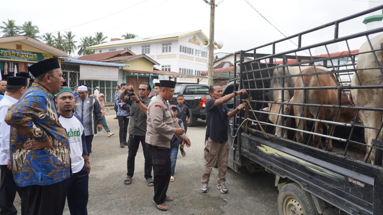 Plt Bupati Langkat Serahkan 3 Sapi Untuk Haul ke-100 Tuan Guru Babussalam