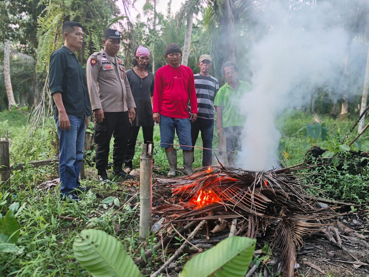 Polsek Kualuh Hilir Bakar Barak Narkoba Di Desa Air Hitam