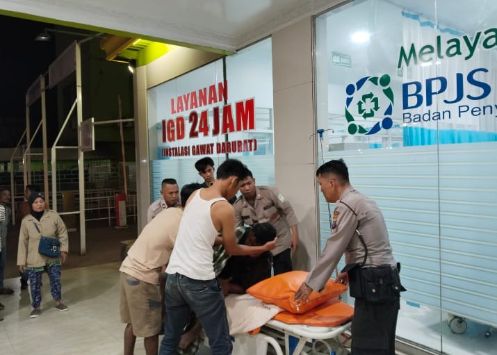 Waspada! Harimau Sumatera Teror Warga Langkat, 1 Orang Nyaris Dimangsa