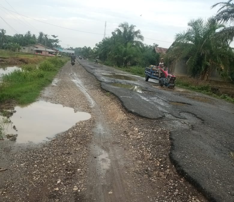 Pemkab Langkat Gak Perduli, Belasan Tahun Jalan H Hasan Perak Dusun 6 Desa Teluk Meku Hancur
