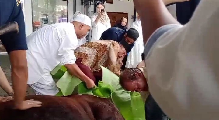 H. Jasa Wardhani Ginting Berbagi Hewan Qurban Jenis Lembu Limosin Berat 250 Kg