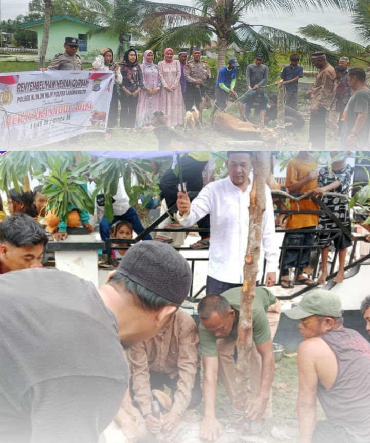 Polsek Kualuh Hilir, Camat Kualuh Leidong Serta PHBI Masjid Jami dan Masjid Darul Hasanah Sembelih Hewan Qurban