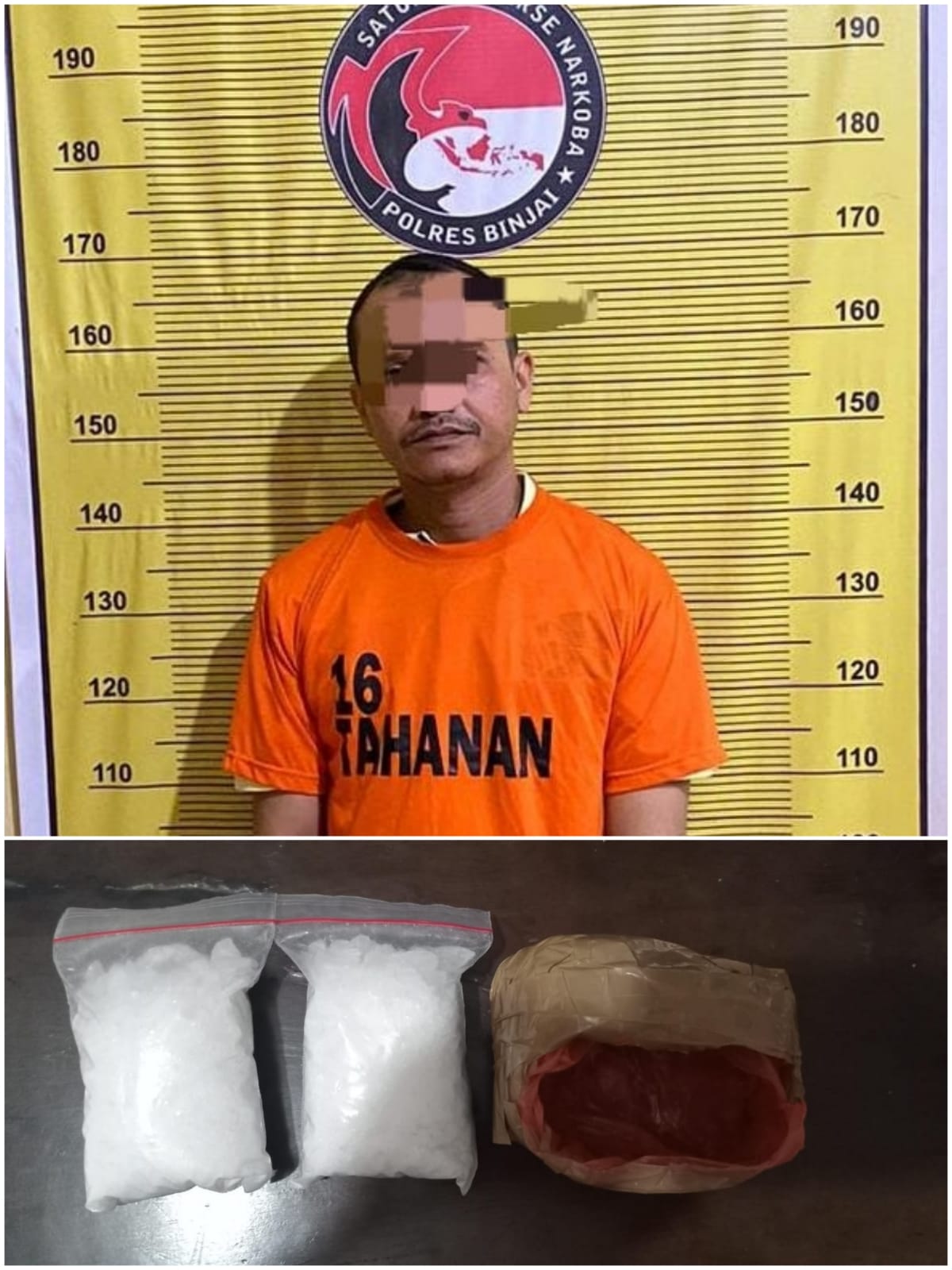 Bandar Narkoba Ditangkap Polres Binjai Disebuah Gubuk