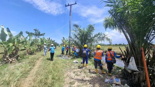 Petugas PLN saat bergotong royong melakukan pemeliharaan jaringan 20 kV di Desa Nelayan Seberang