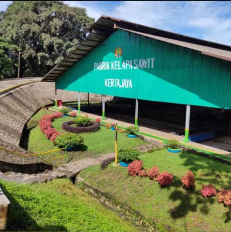 Tanggapan PTPN IV PalmCo atas Dugaan Selisih Timbangan di PKS Kertajaya