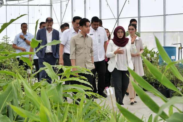 Gubernur Sumatera Utara (Sumut) Muhammad Bobby Nasution dan Ketua TP PKK Sumut Kahiyang Ayu mendampingi Wakil Presiden (Wapres) Republik Indonesia Gibran Rakabuming serta istri Selvi Gibran Rakabuming meninjau Taman Sains Teknologi Herbal dan Hortikultura (TSTH2) di Kecamatan Pollung, Kabupaten Humbang Hasundutan, Jumat (16/05/2025).