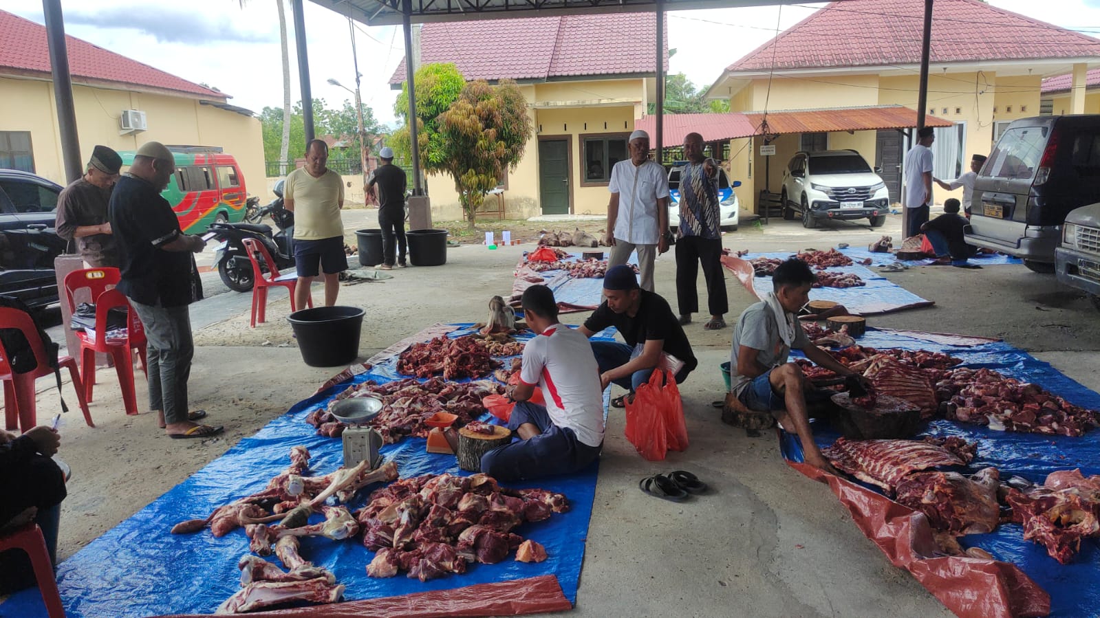 Hari Raya Idul Adha 1446 H, Polres Tanjungbalai Qurban 9 Ekor Lembu