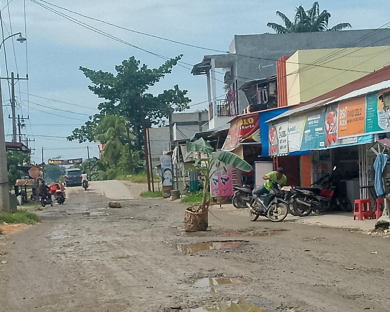 Jalan Hancur Warga Tanam Pohon Pisang di Tengah Jalan