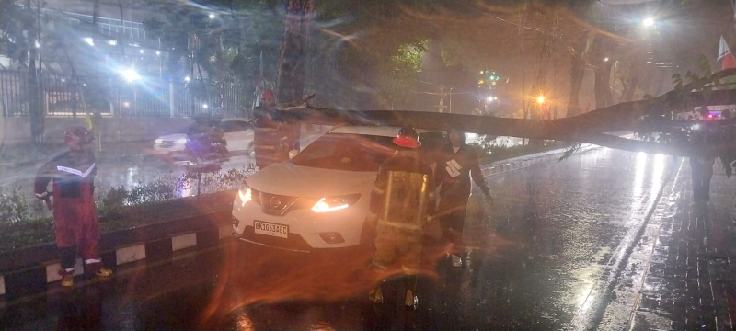 Satu unit mobil minibus warna putih tertimpa pohon tumbang di depan Kantor Wali Kota Medan Jalan Kapten Maulana Lubis, Kelurahan Petisah Tengah, Kecamatan Medan Petisah, Minggu (6/7/2025).