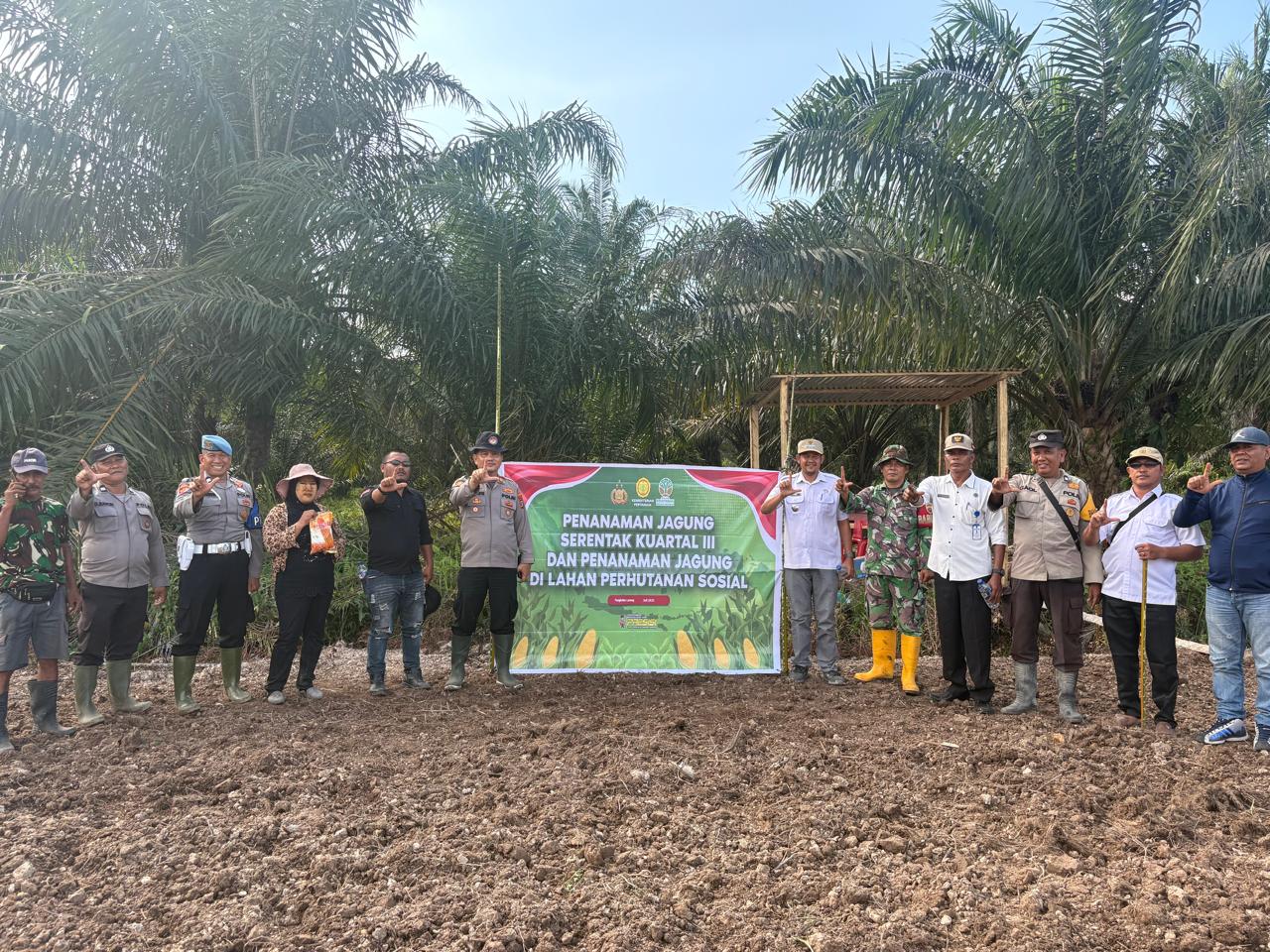 Sinergitas TNI-POLRI & Camat Kualuh Leidong Dibantu FPK Serta Ormas Dukung Swasembada Pangan 2025