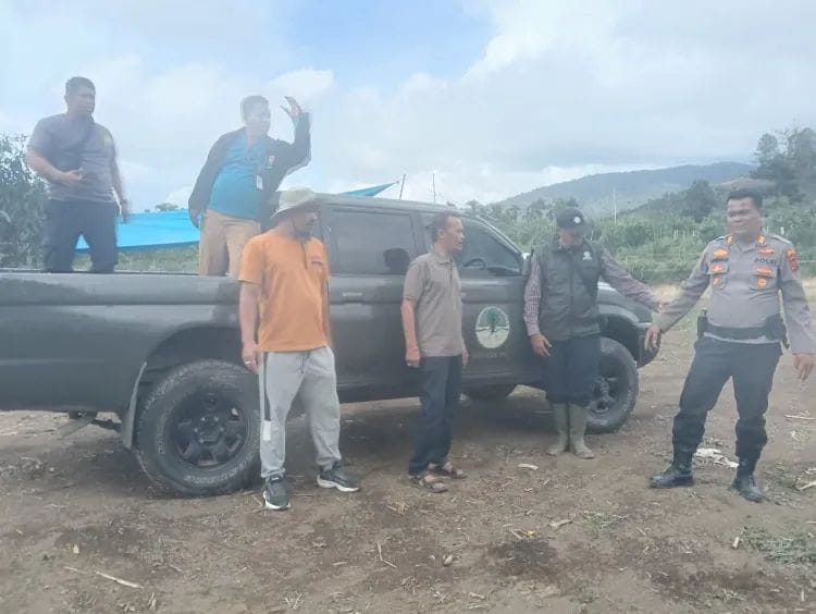 Kapolsek Mardingding Bersama Camat dan BKSDA Sumut Tindaklanjuti Temuan Jejak Harimau di Perladangan Warga