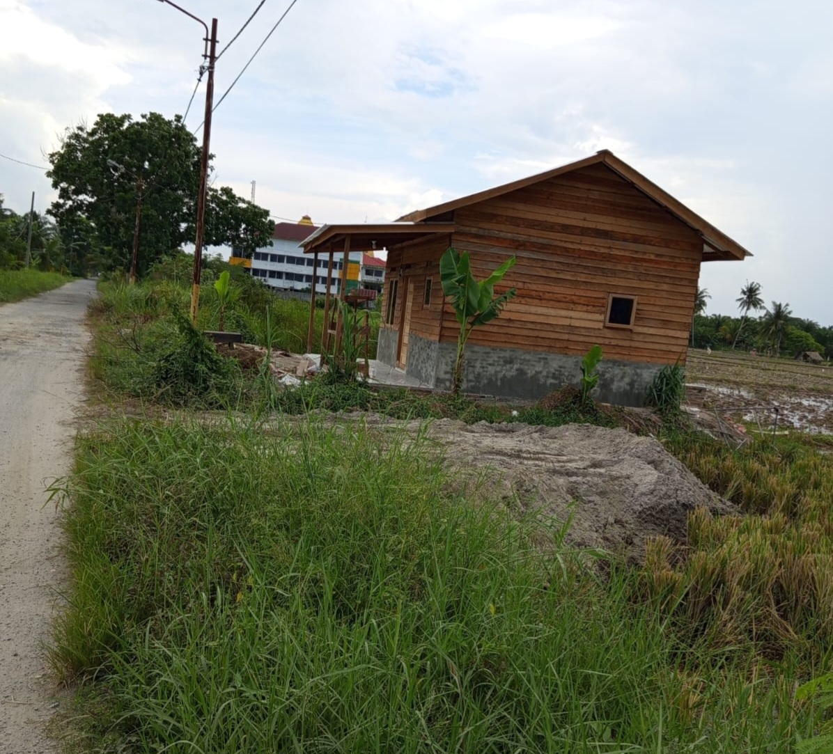 Alih Fungsi Lahan Sawah Pertanian di Kota Tanjungbalai, Terkesan Negara “KALAH” Dengan Pengusaha Kavlingan