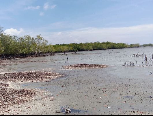 Tanda Batu Perbatasan Aslab Diduga Dijadikan Jalur Tikus Keluar Masuk PMI Ilegal