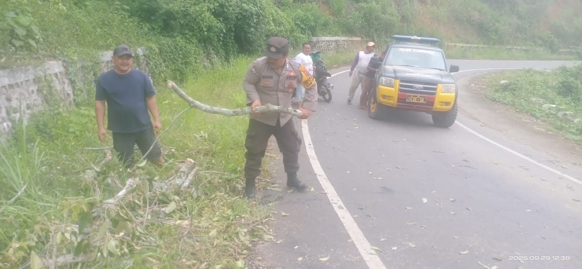 Personil Polsek Tigabinanga Evakuasi Pohon Tumbsng Yang Mengangu Halangi Jalan