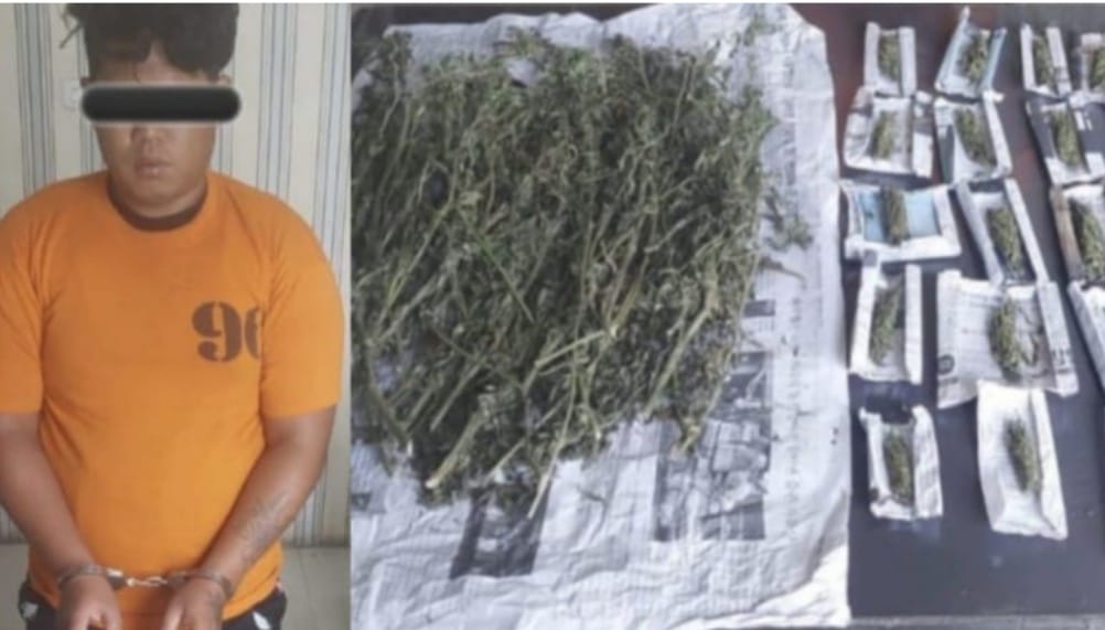 Satresnarkoba Polres Tanah Karo Tangkap Pengedar Ganja di Simpang Empat
