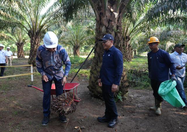 KUNJUNGAN-Dubes Denis ketika melakukan kunjungan ke perkebunan kelapa sawit dan Kebun Rambutan milik PalmCo, Selasa (7/10/2025). Foto/medandaily.com/ist
