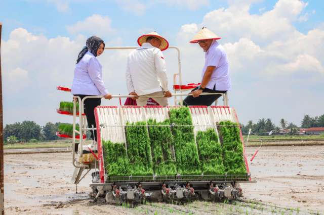 Bupati Deliserdang, dr H Asri Ludin Tambunan bersama Kepala Kantor Perwakilan Bank Indonesia Provinsi Sumatera Utara, Rudy Brando Hutabarat dan Wakil Bupati Langkat, Tiorita br Surbakti, menyaksikan penggunaan drone sprayer, Rabu (15/10/2025).