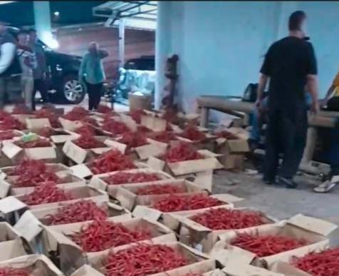 Cabai kardus di Pasar induk Tuntungan.