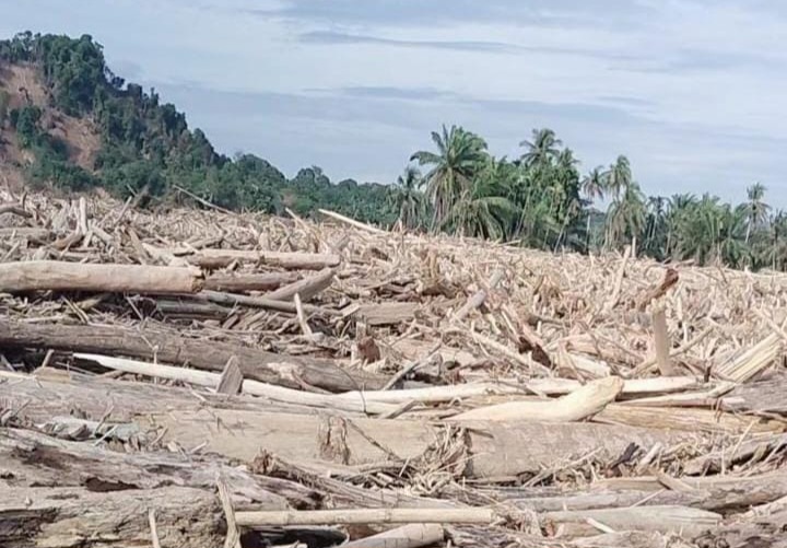 Banjir Gelondongan Kayu dan Eksploitasi Hutan Sijantung Aceh Tamiang Yang Tak Bisa Disangkal