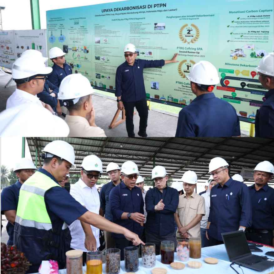 Danantara: Transformasi PalmCo Dinilai Perkuat Kemandirian Pangan dan Energi Nasional