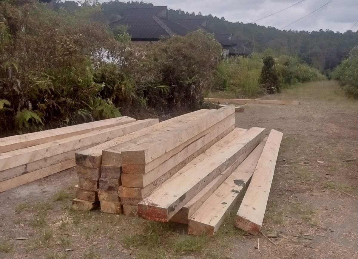 Perambahan Kayu Siosar Berlangsung Sejak Tahun 2025,Disiyalir Adanya Bekingan Yang Kuat