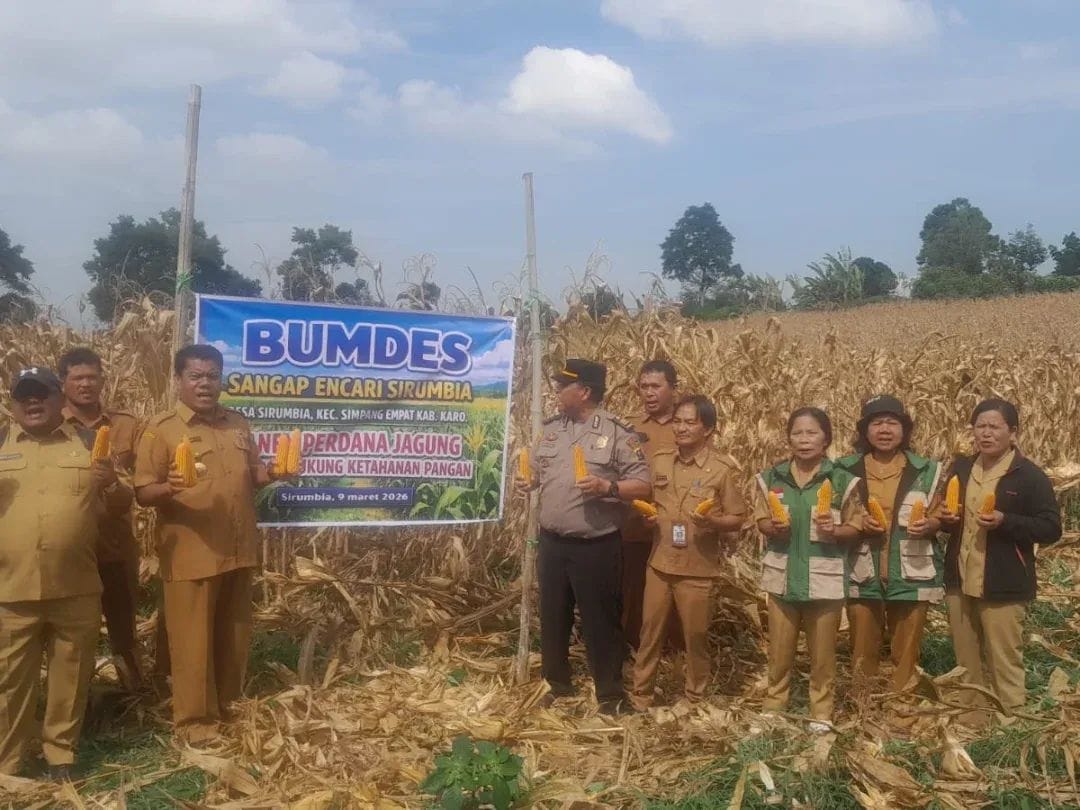 Polsek Simpang Empat Hadiri Panen Perdana Jagung BUMDes Desa Sirumbia