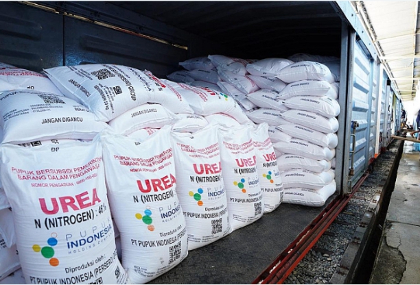 Petani Di Kecamatan Tigabinanga Susah MendapatKan Pupuk Bersubsidi  